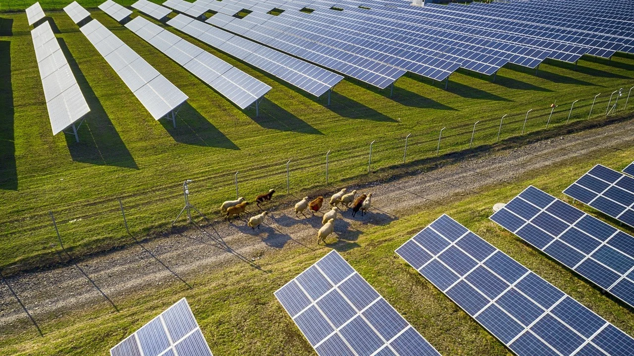 marjinal-arazi-alınması